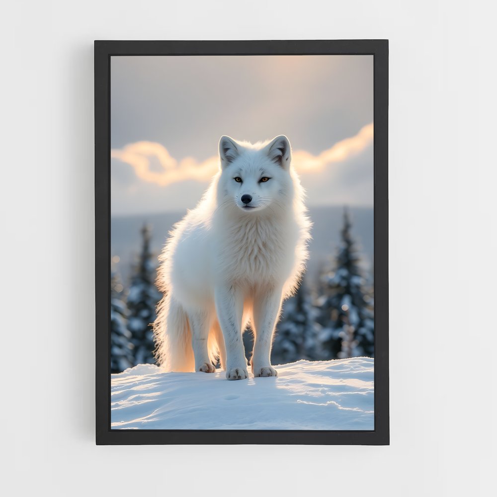 ap-arctic fox-2 cadre Noir
