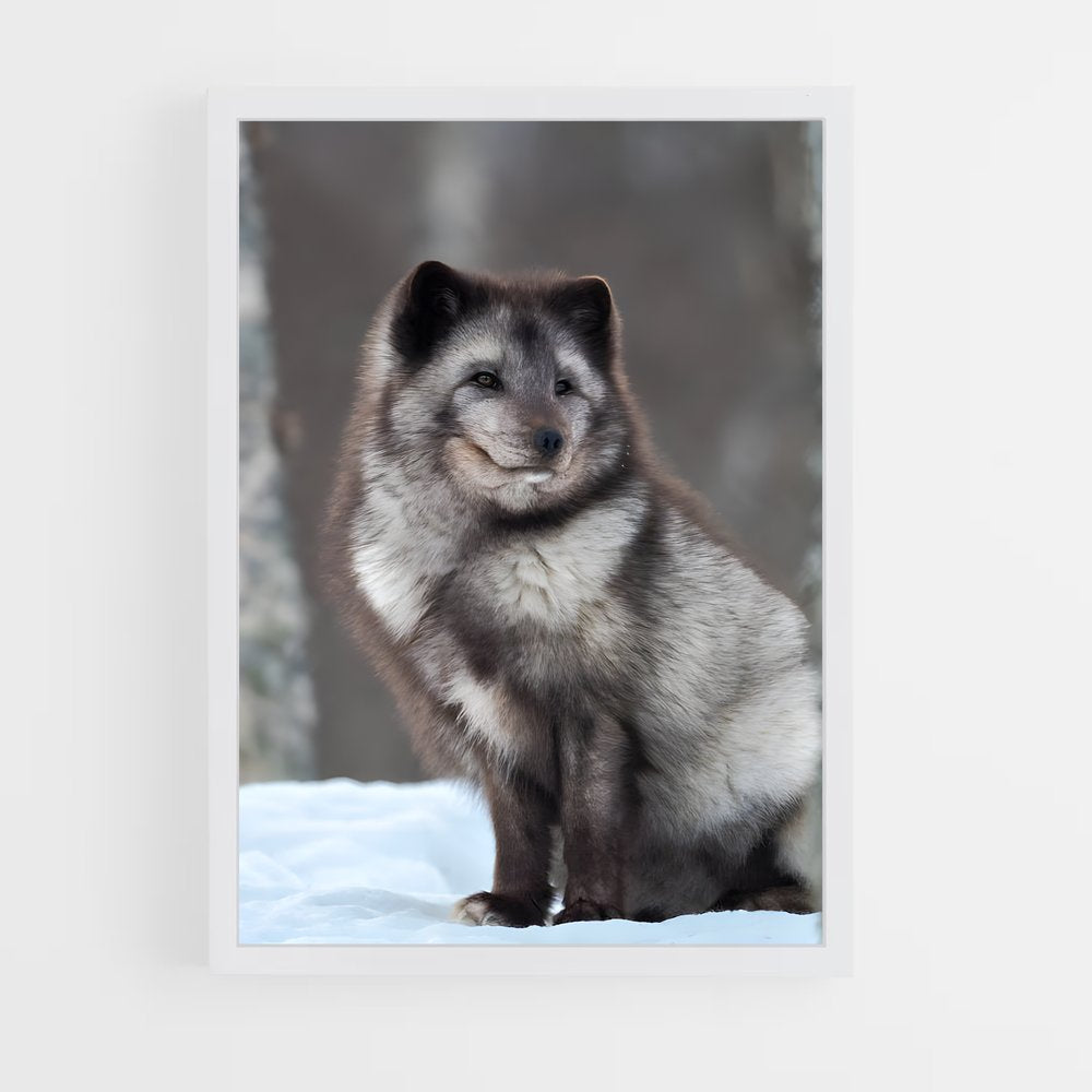 ap-arctic fox-3 cadre Blanc
