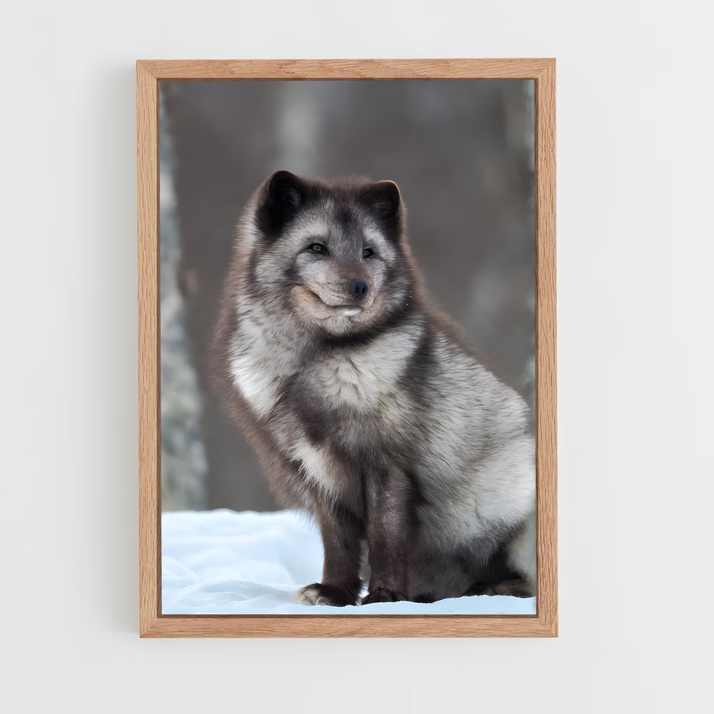 ap-arctic fox-3 cadre Bois clair