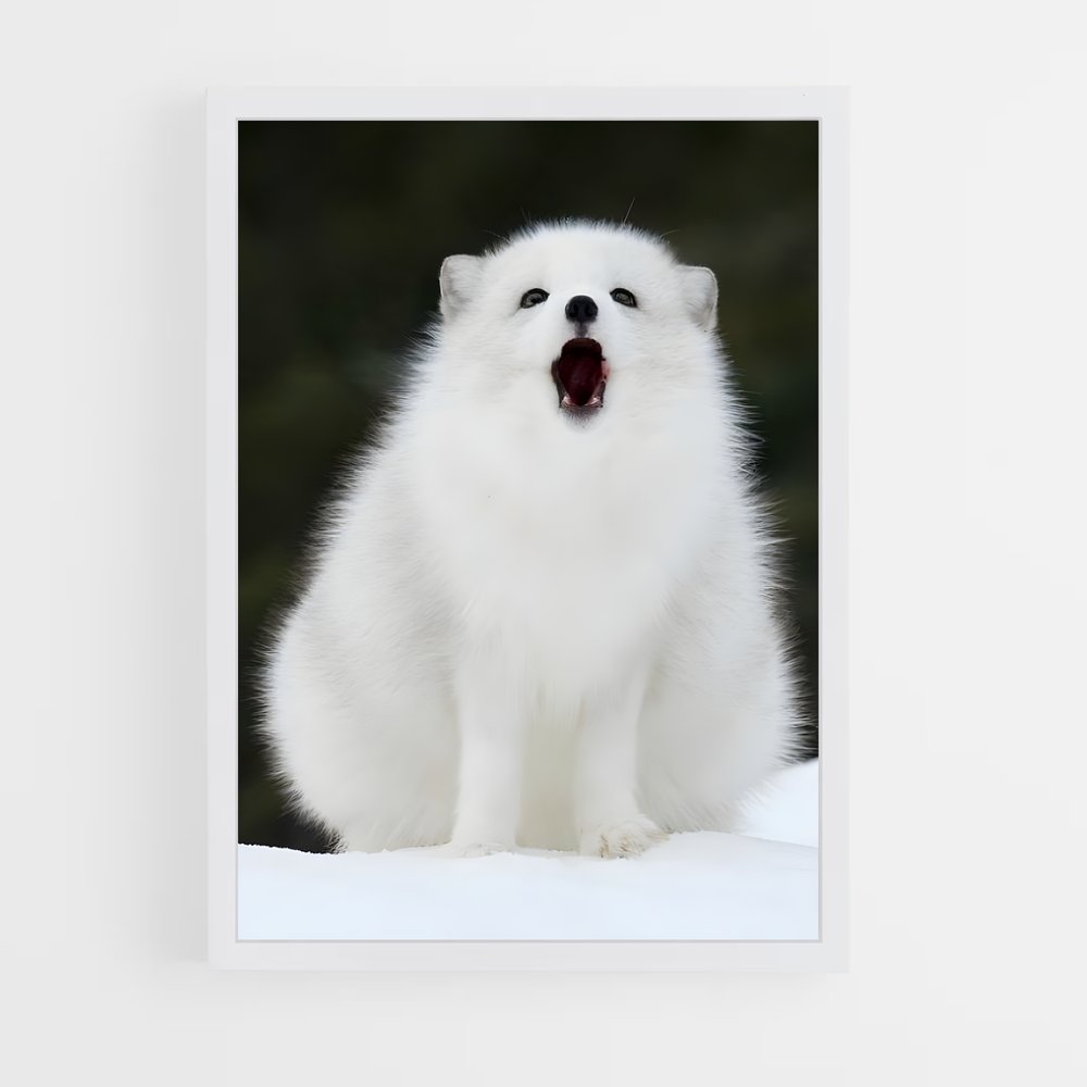 ap-arctic fox-4 cadre Blanc