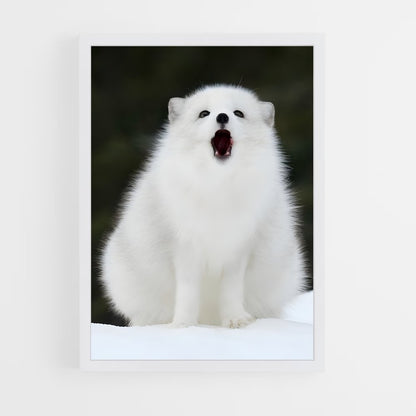 ap-arctic fox-4 cadre Blanc