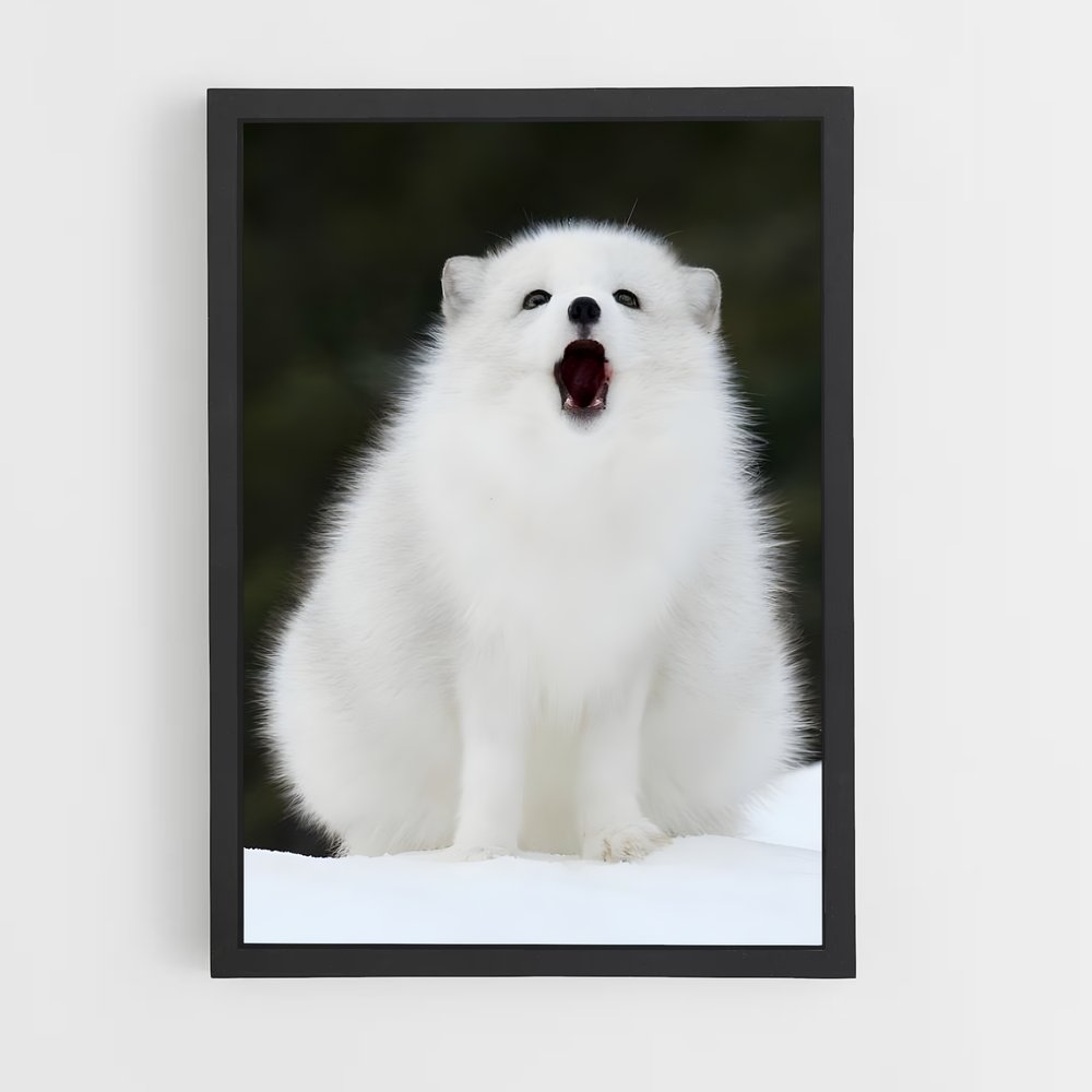 ap-arctic fox-4 cadre Noir