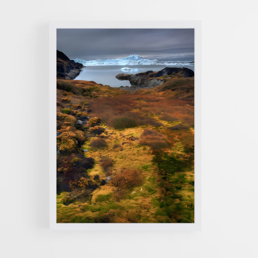 ap-arctic tundra-1 cadre Blanc