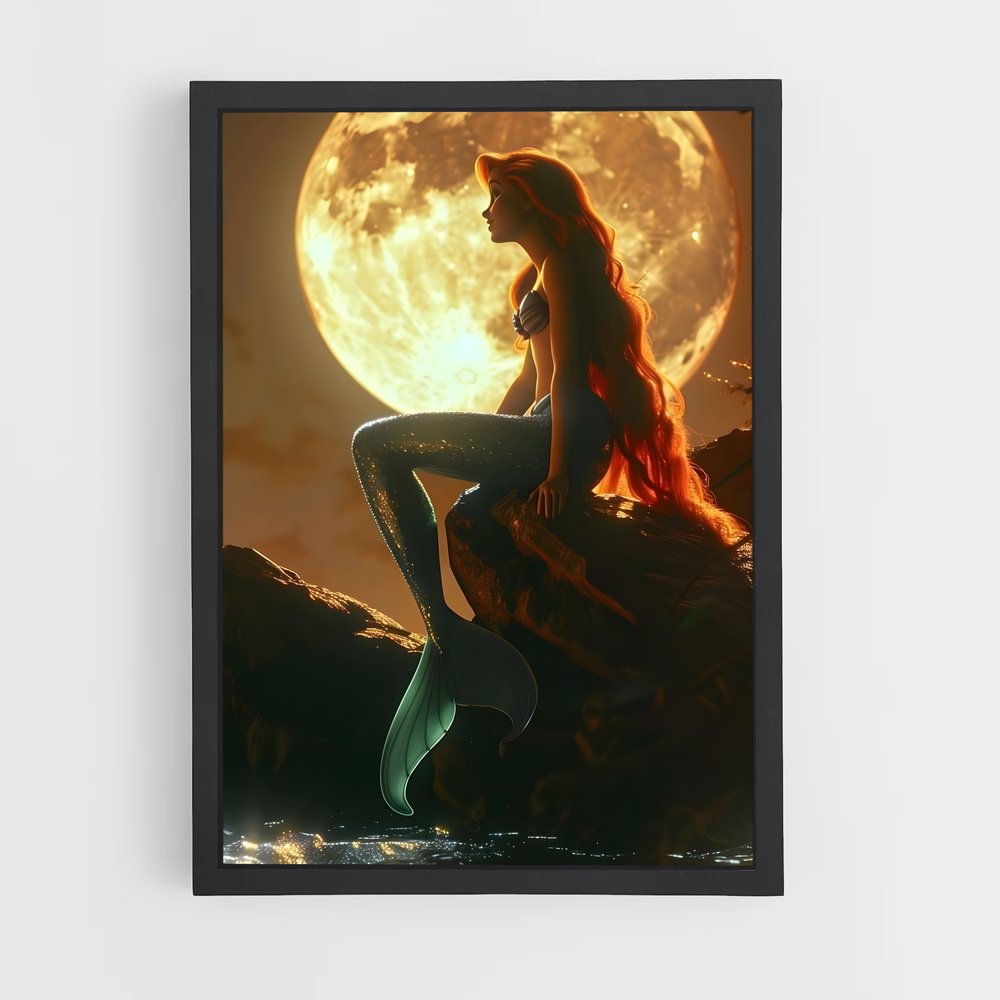 ap-ariel-10 cadre Noir