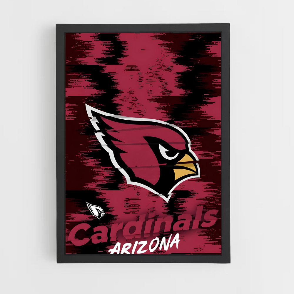 ap-arizona cardinals-3 cadre Noir