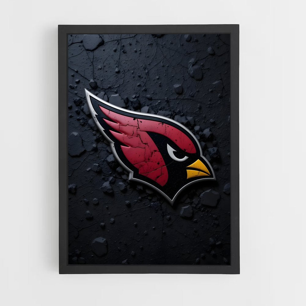 ap-arizona cardinals-4 cadre Noir