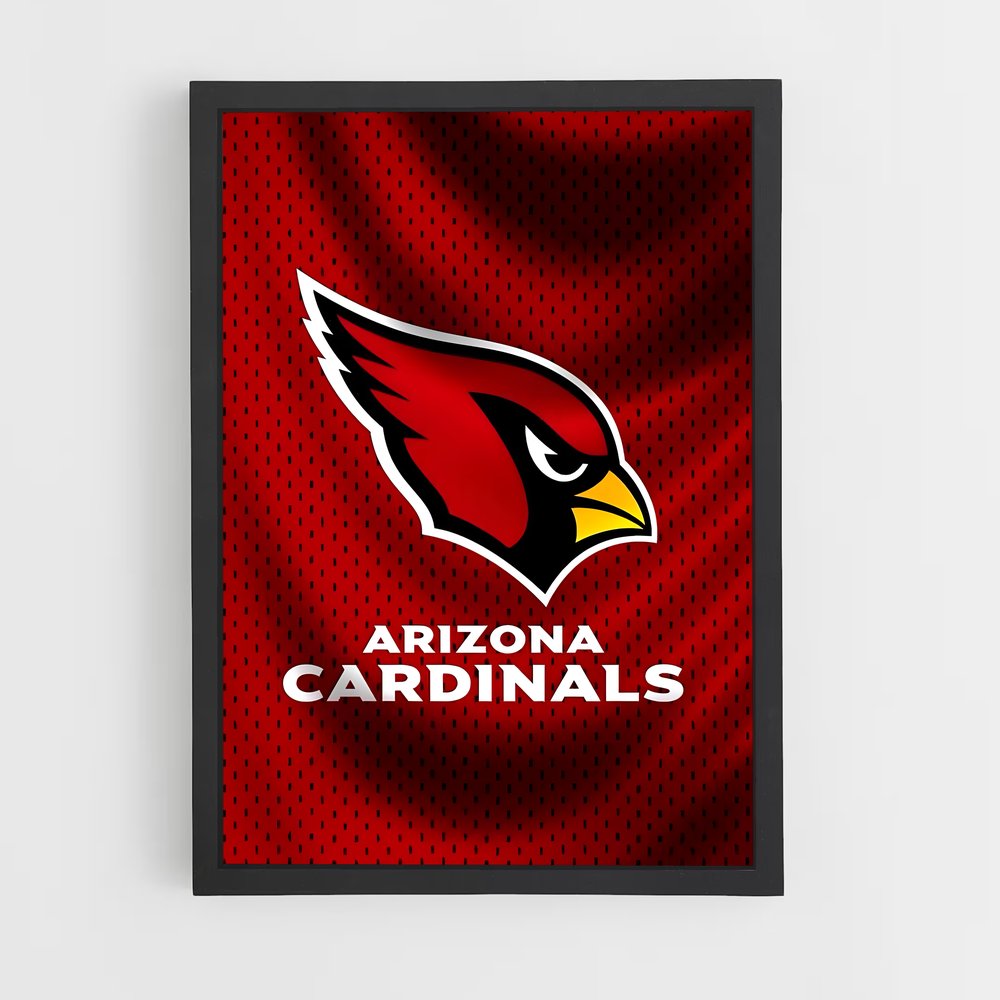 ap-arizona cardinals-5 cadre Noir