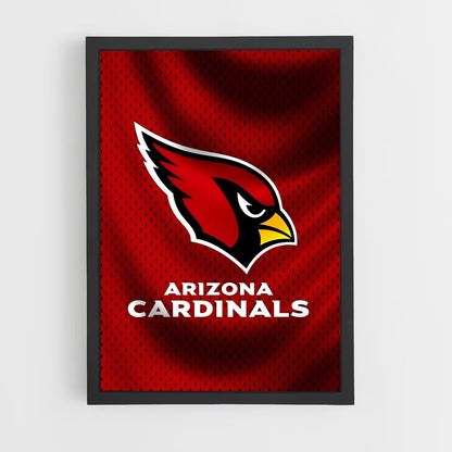 ap-arizona cardinals-5 cadre Noir