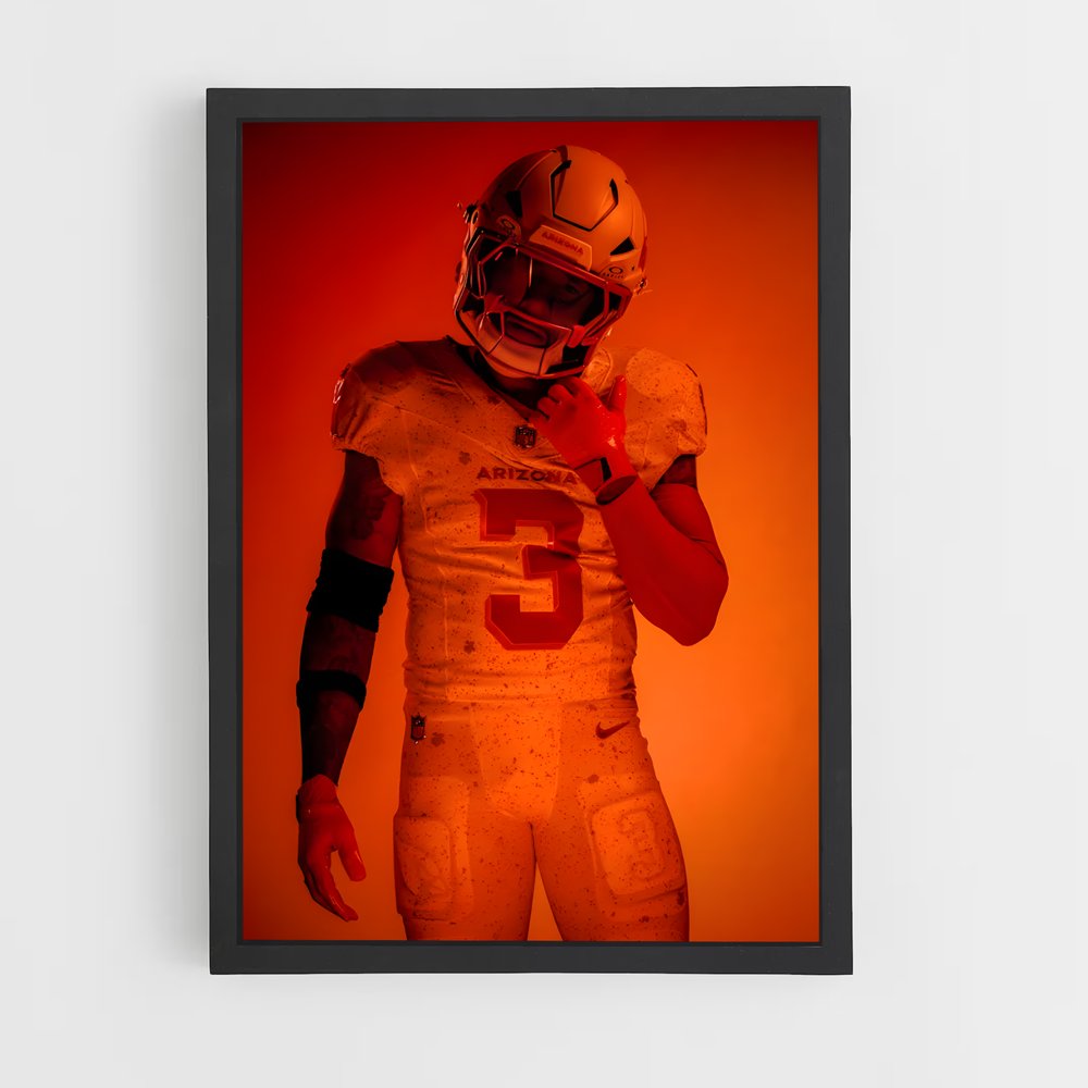 ap-arizona cardinals-6 cadre Noir