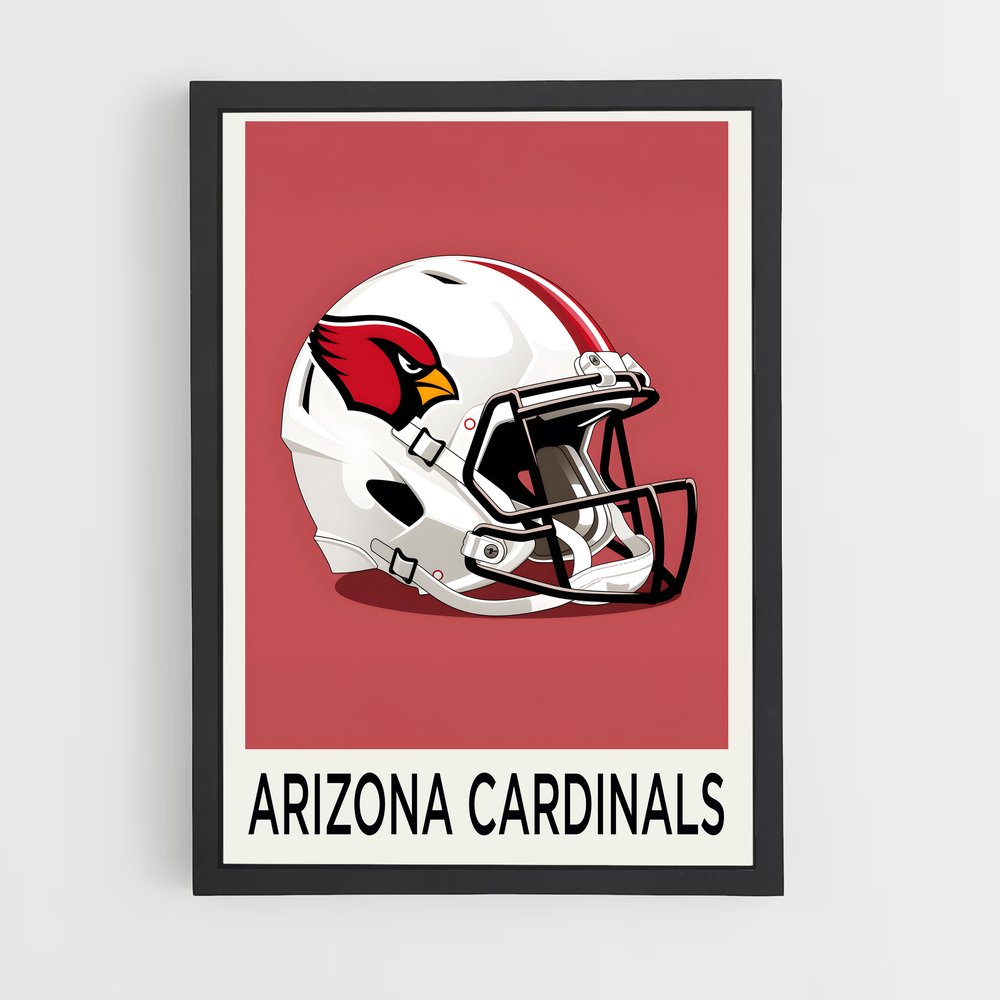 ap-arizona cardinals-8 cadre Noir