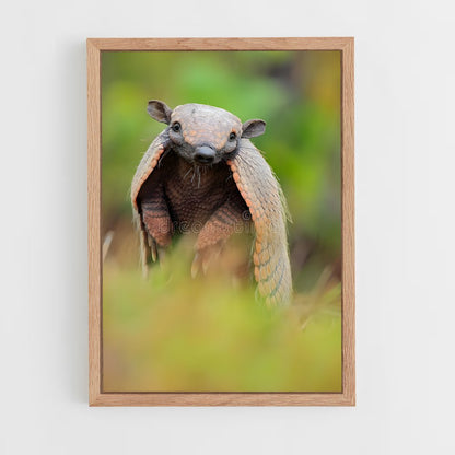 ap-armadillo-1 cadre Bois clair