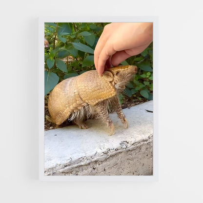 ap-armadillo-2 cadre Blanc