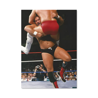 Poster Arn anderson 61094