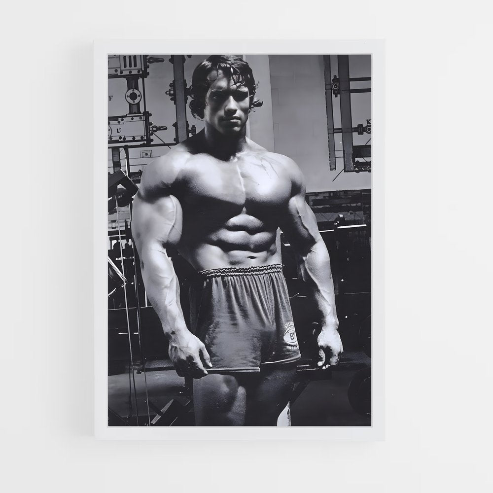 ap-arnold schwarzenegger-4 cadre Blanc