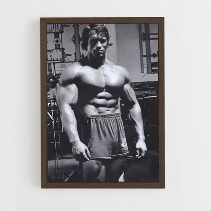 ap-arnold schwarzenegger-4 cadre Bois foncé