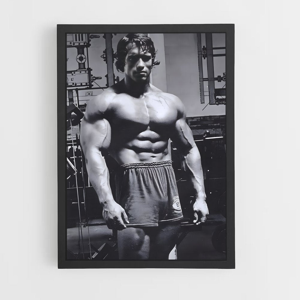 ap-arnold schwarzenegger-4 cadre Noir