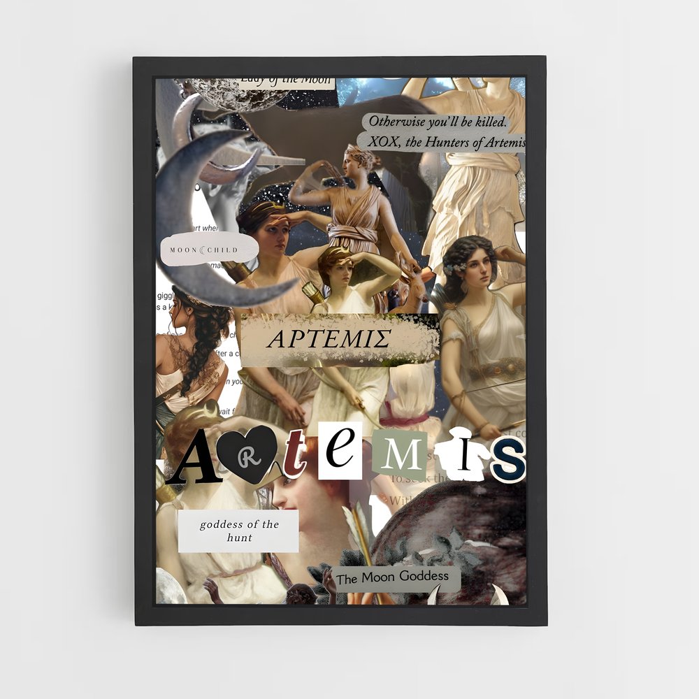 ap-artemis-3 cadre Noir