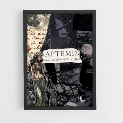 ap-artemis-7 cadre Noir