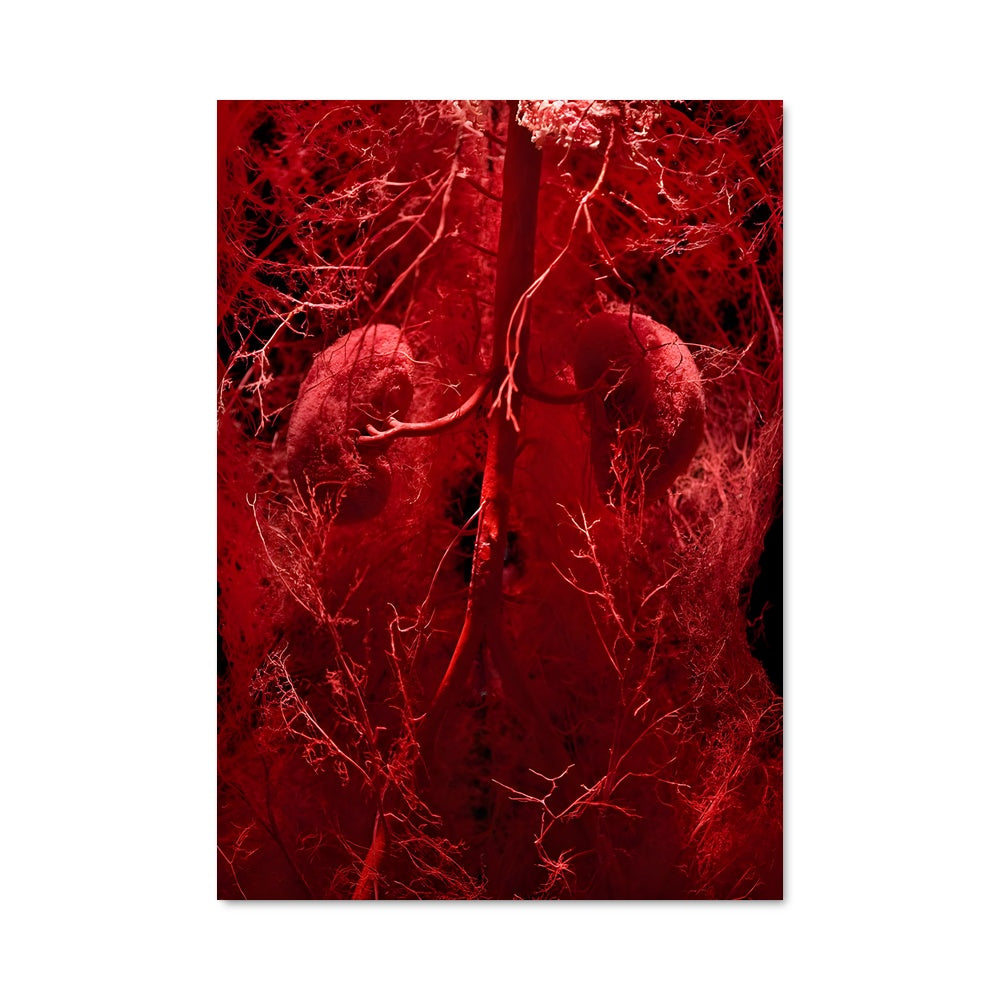 Poster Corps Écarlate
