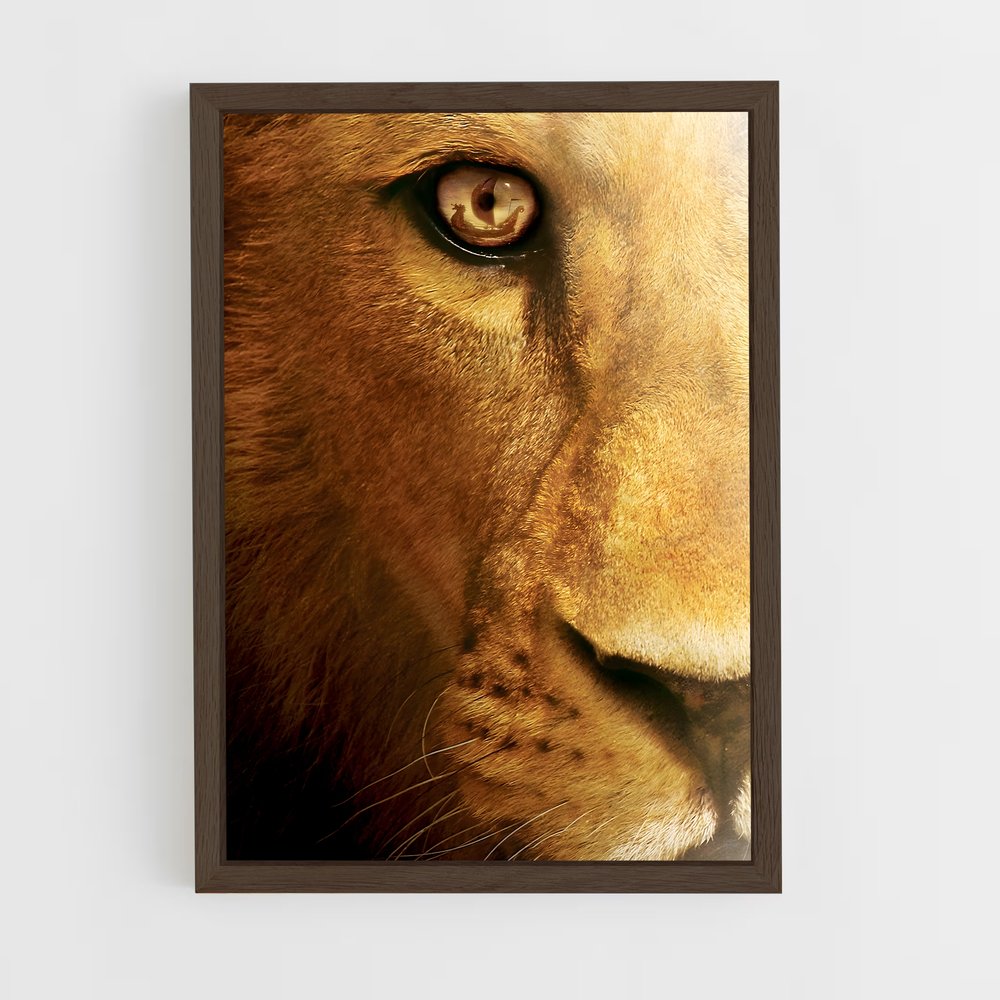 ap-aslan-4 cadre Bois foncé