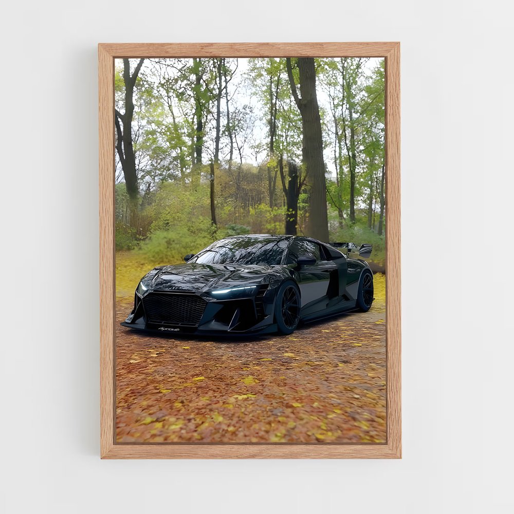 ap-audi-2 cadre Bois clair