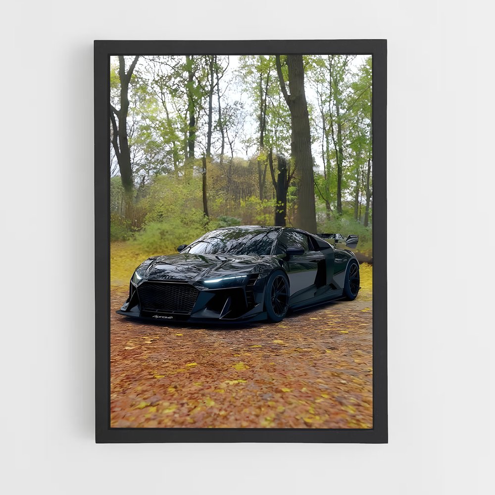 ap-audi-2 cadre Noir