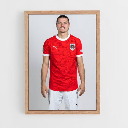 ap-austria national football team-1 cadre Bois clair