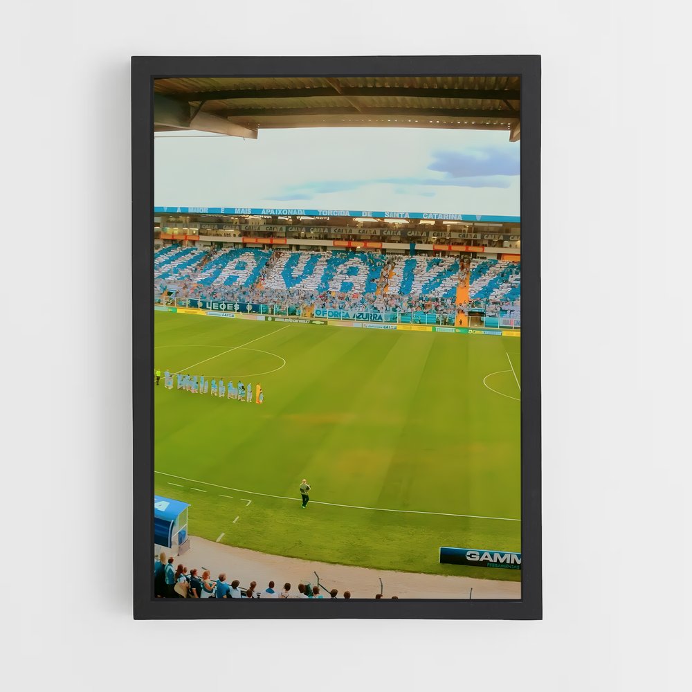 ap-avai futebol clube-12 cadre Noir