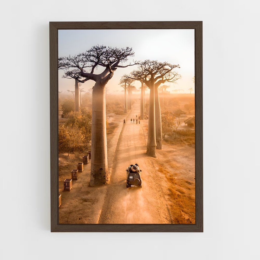 ap-avenue of the baobabs-1 cadre Bois foncé