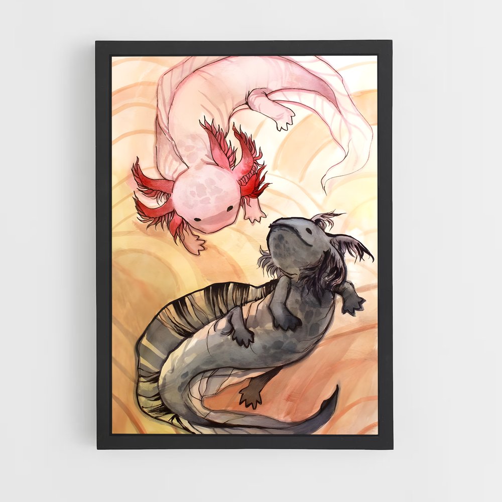 ap-axolotl-1 cadre Noir