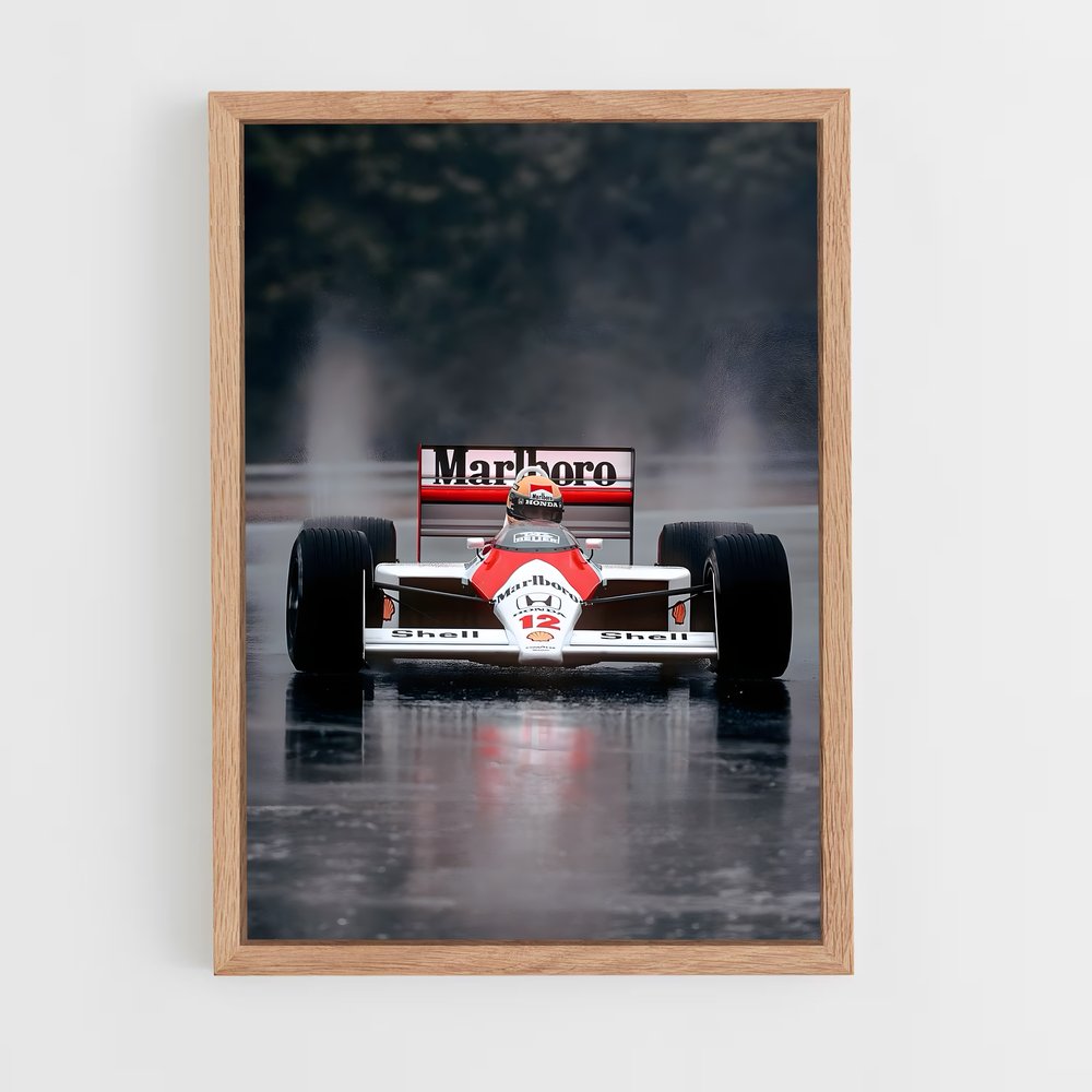 ap-ayrton senna-1 cadre Bois clair