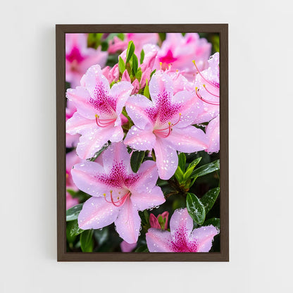 ap-azalea-1 cadre Bois foncé
