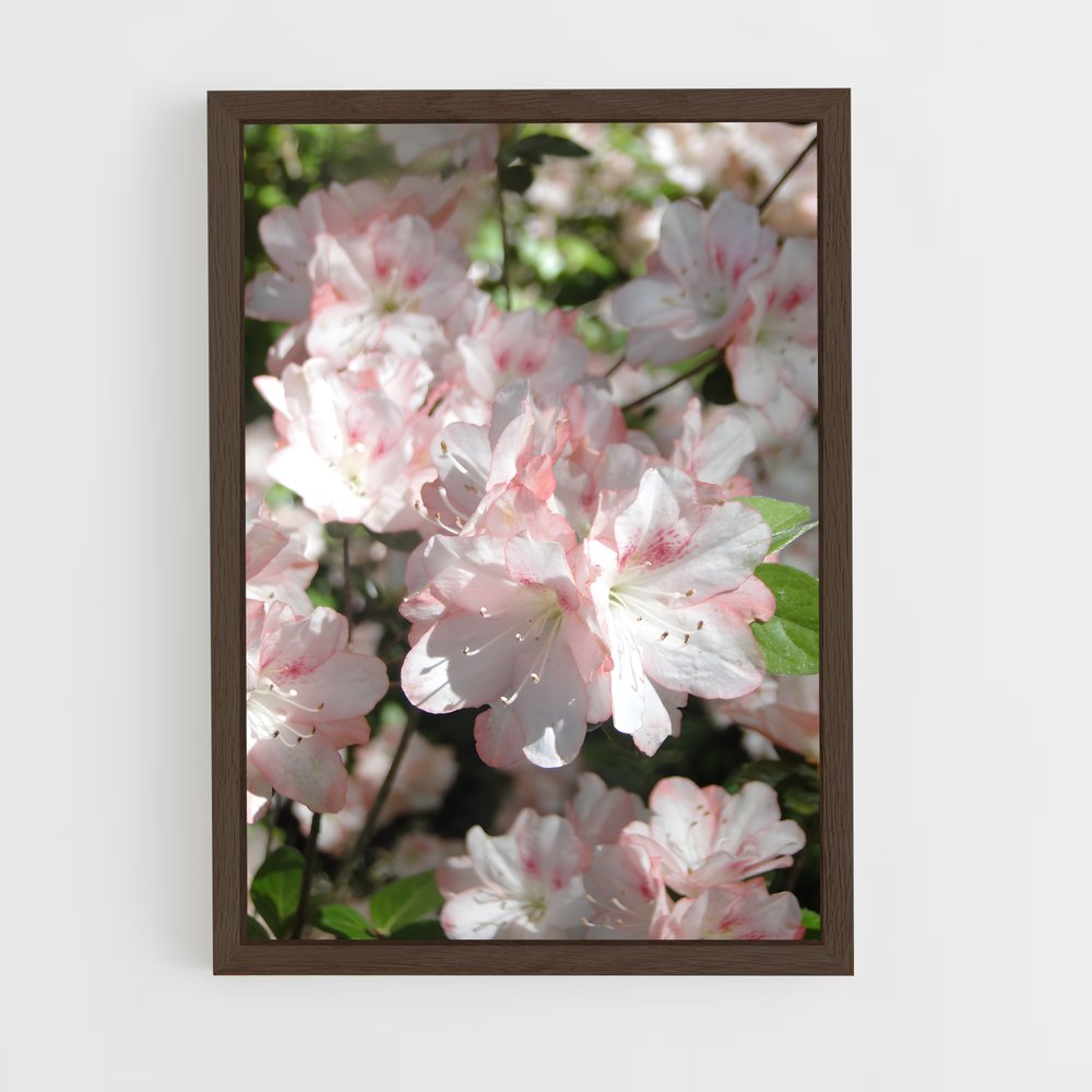 ap-azalea-3 cadre Bois foncé