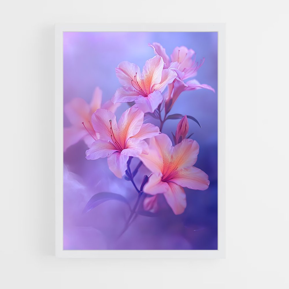 ap-azalea-9 cadre Blanc