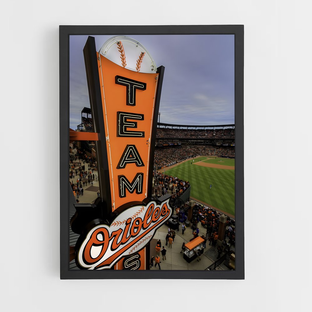 ap-baltimore orioles-3 cadre Noir
