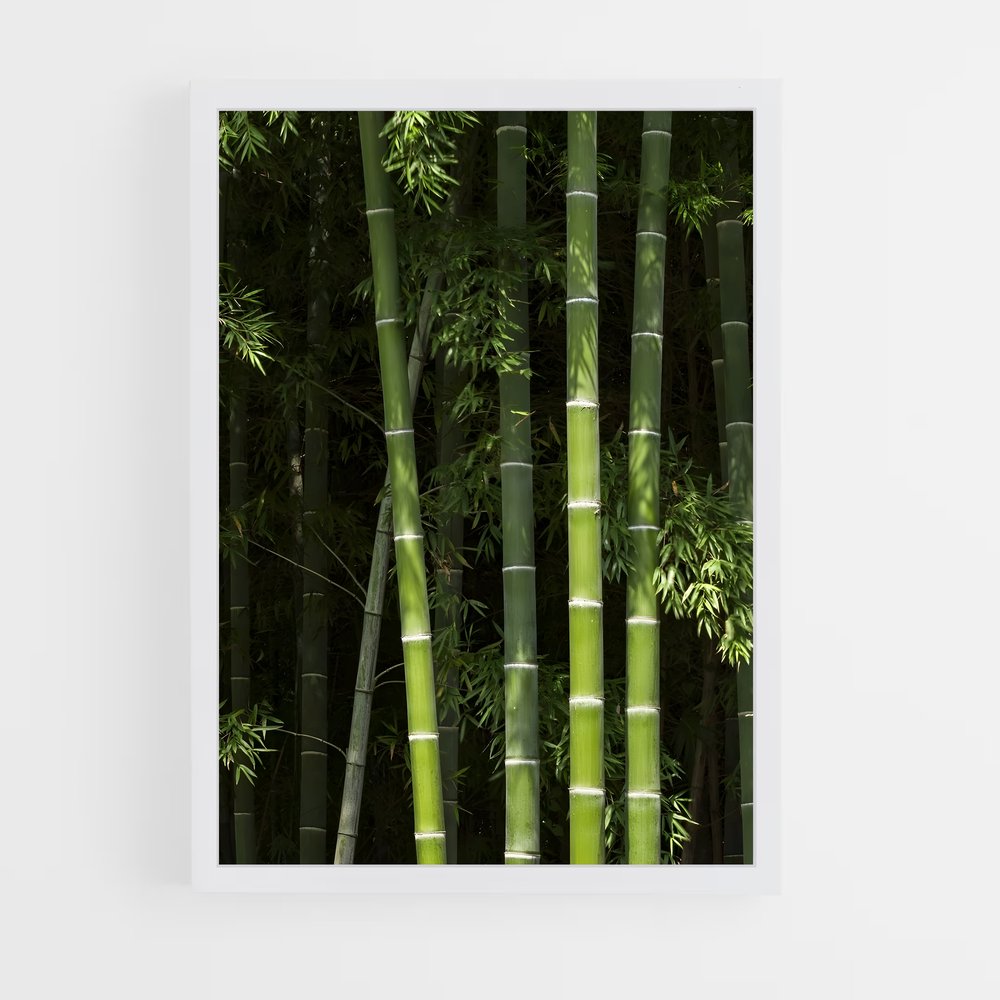 ap-bamboo-3 cadre Blanc