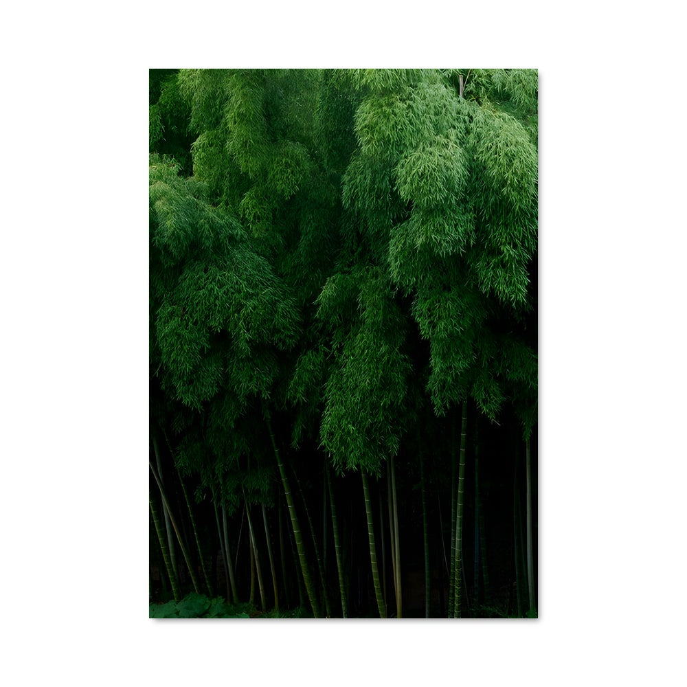 Poster Bamboo grove 96302