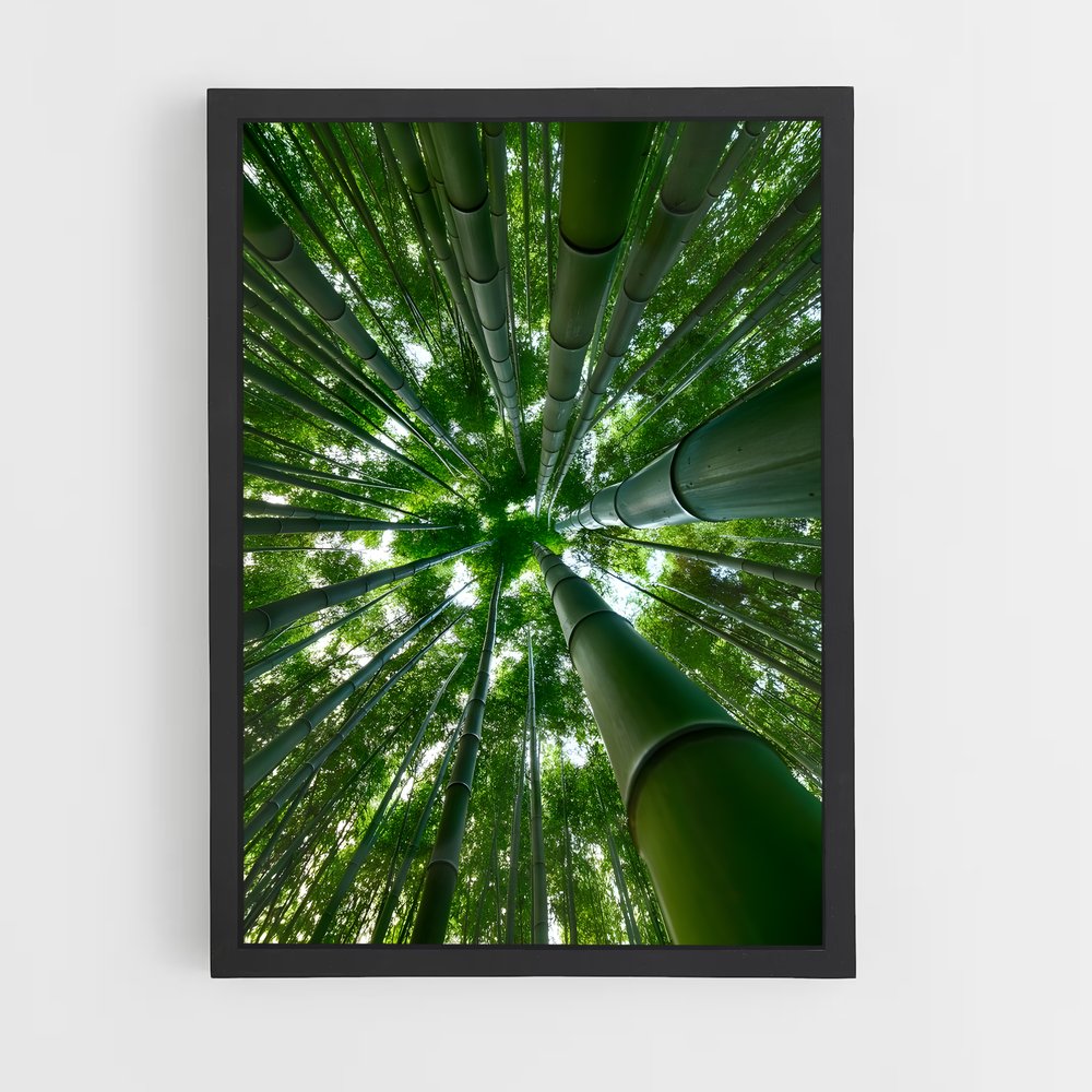 ap-bamboo forest-1 cadre Noir