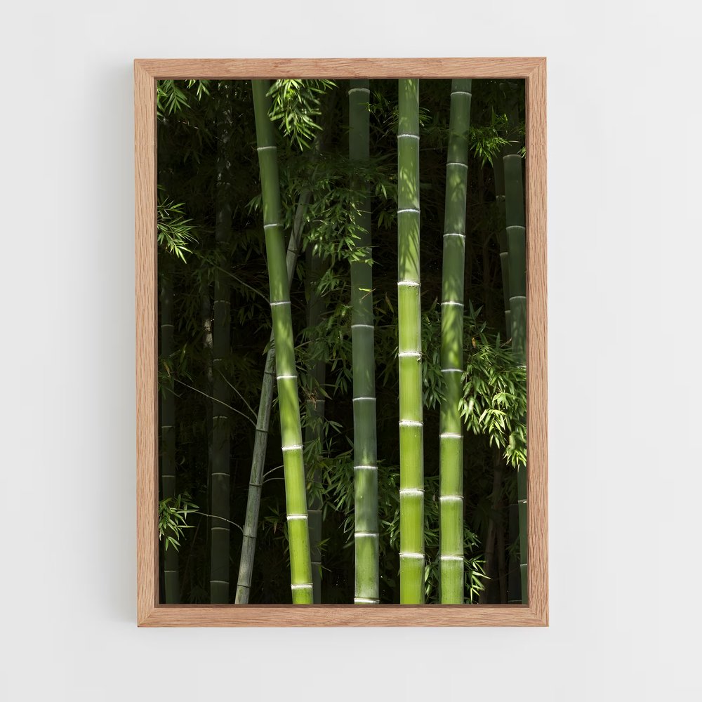 ap-bamboo forest-12 cadre Bois clair