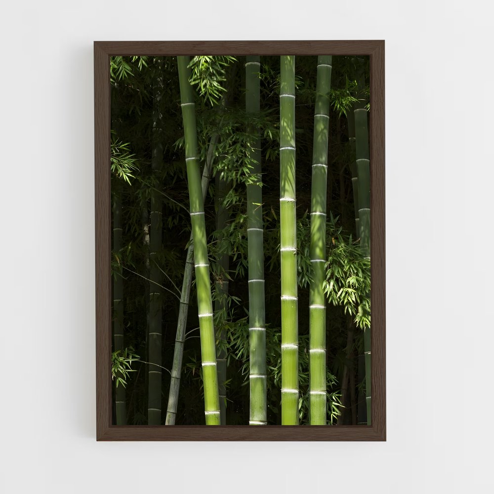 ap-bamboo forest-12 cadre Bois foncé