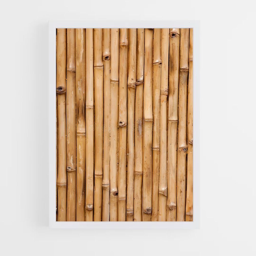 ap-bamboo patterns-1 cadre Blanc