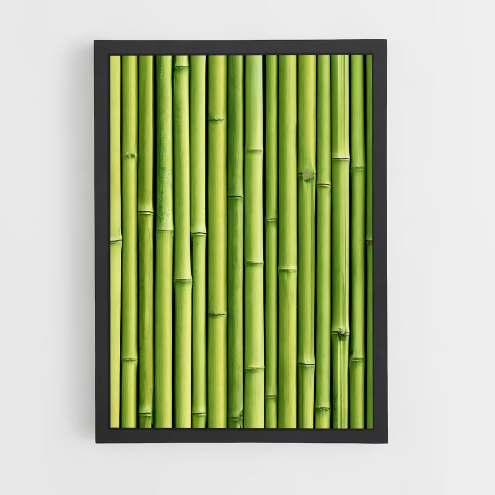 ap-bamboo patterns-5 cadre Noir