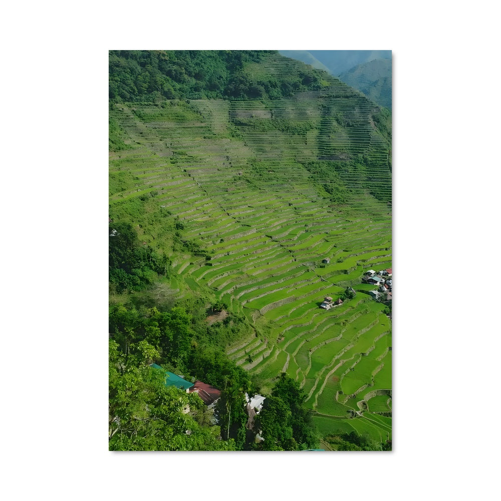 Poster Terrasses d'Asie