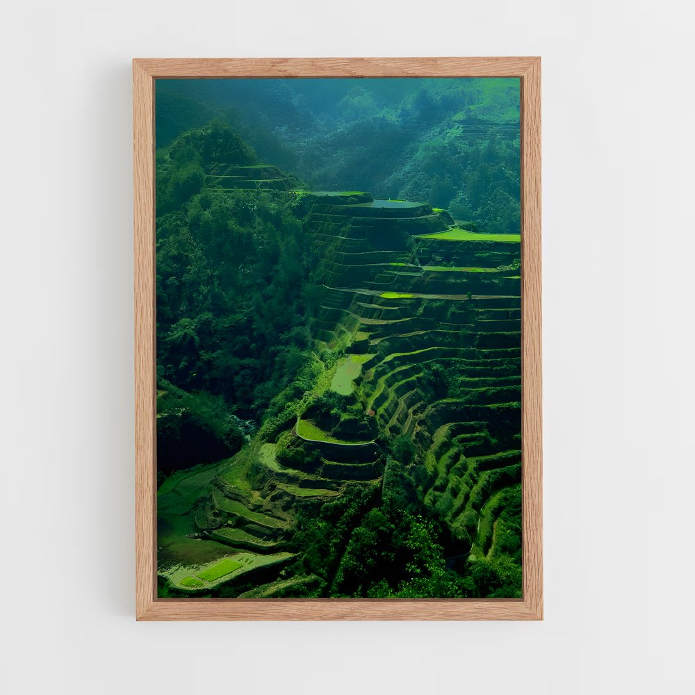 ap-banaue rice terraces-6 cadre Bois clair