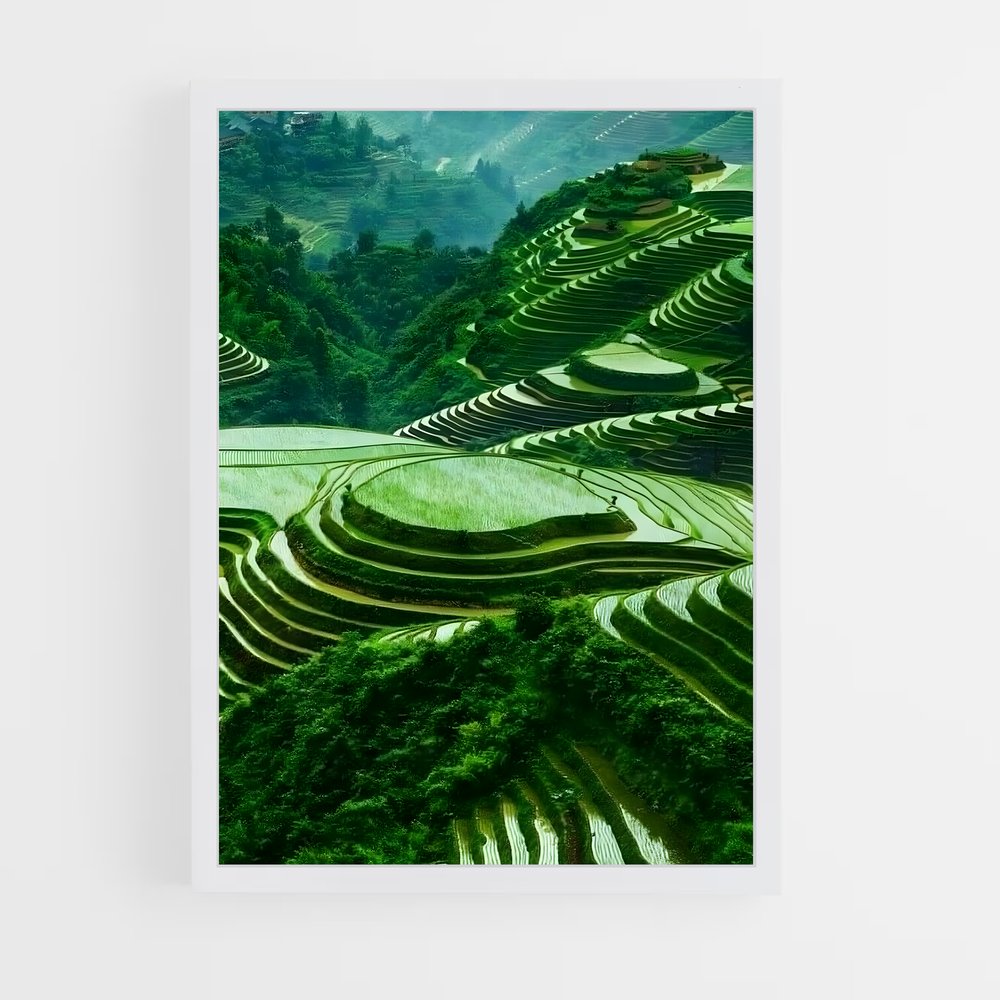 ap-banaue rice terraces-7 cadre Blanc