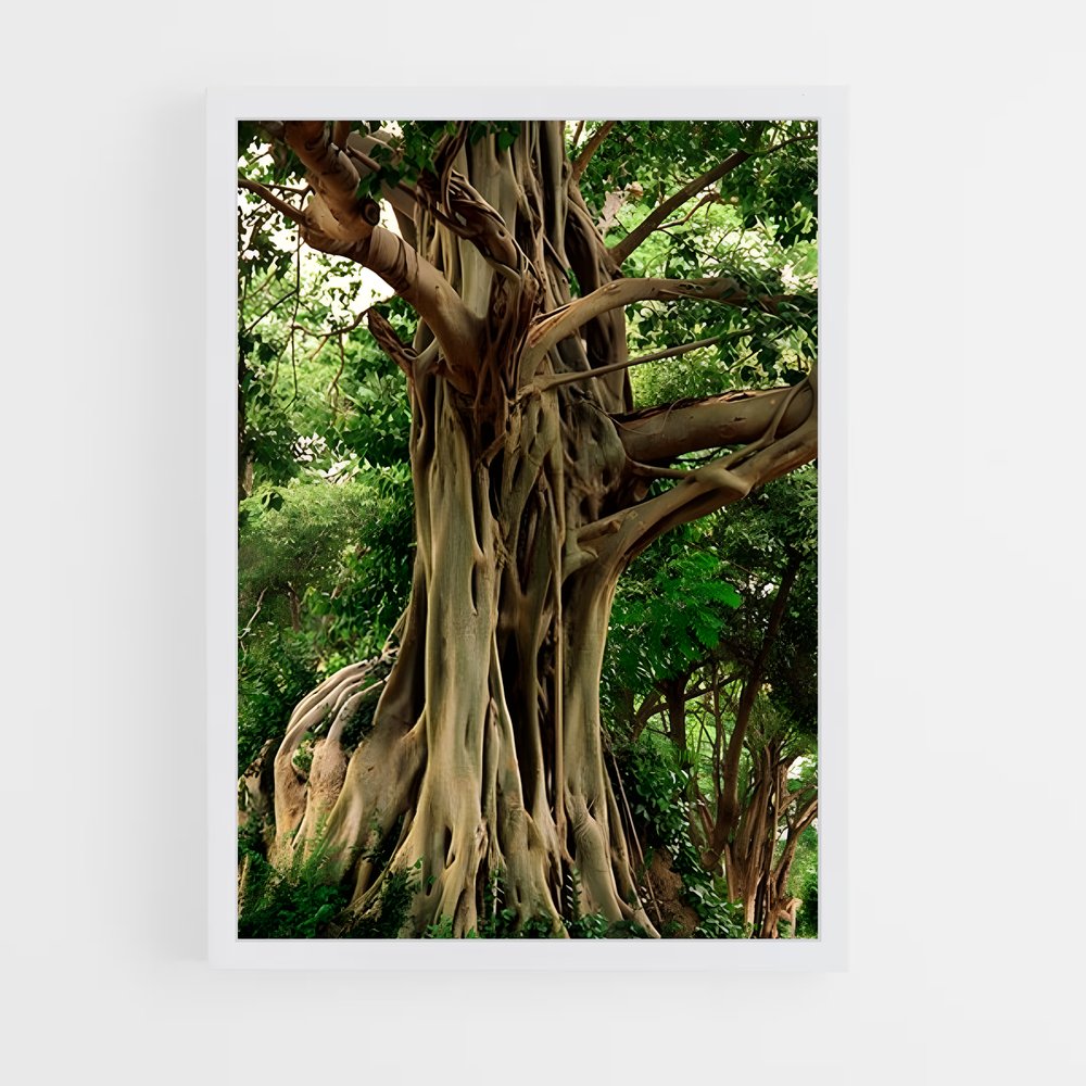 ap-banyan tree-1 cadre Blanc