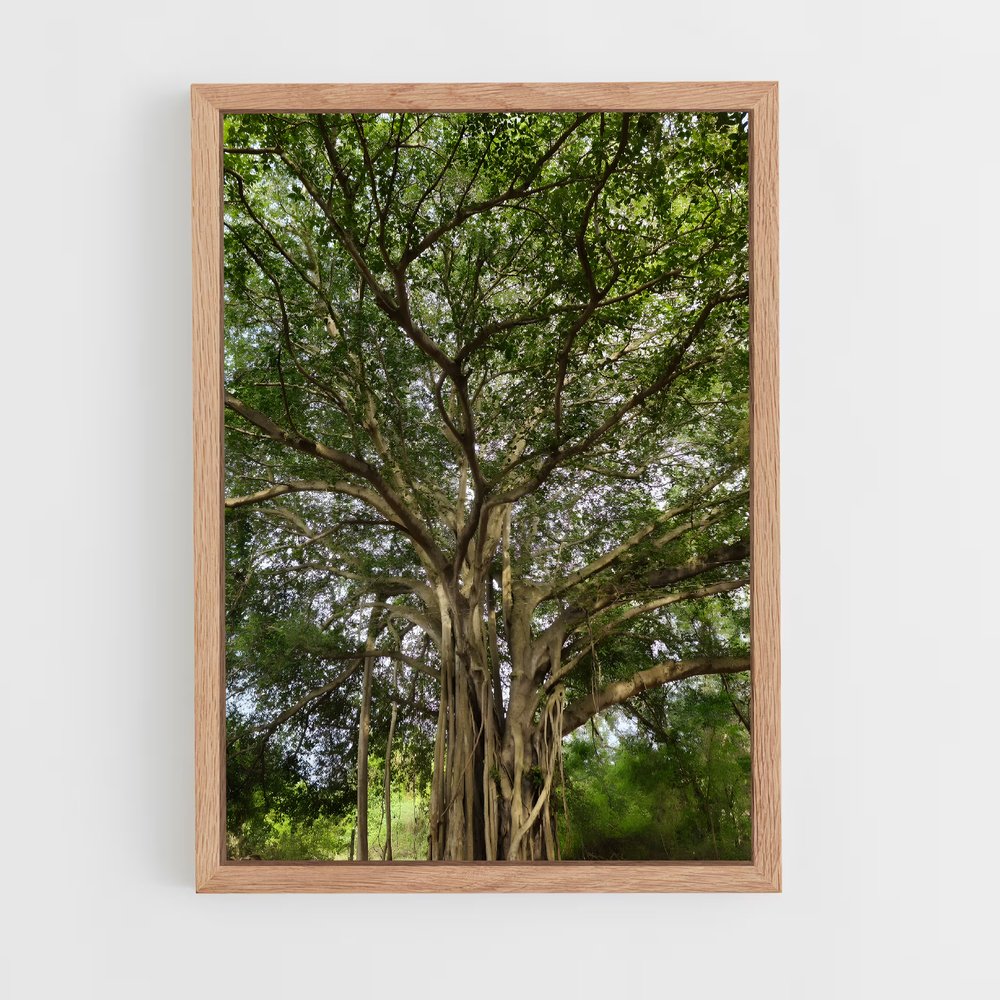 ap-banyan tree-2 cadre Bois clair