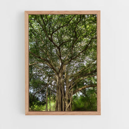 ap-banyan tree-2 cadre Bois clair