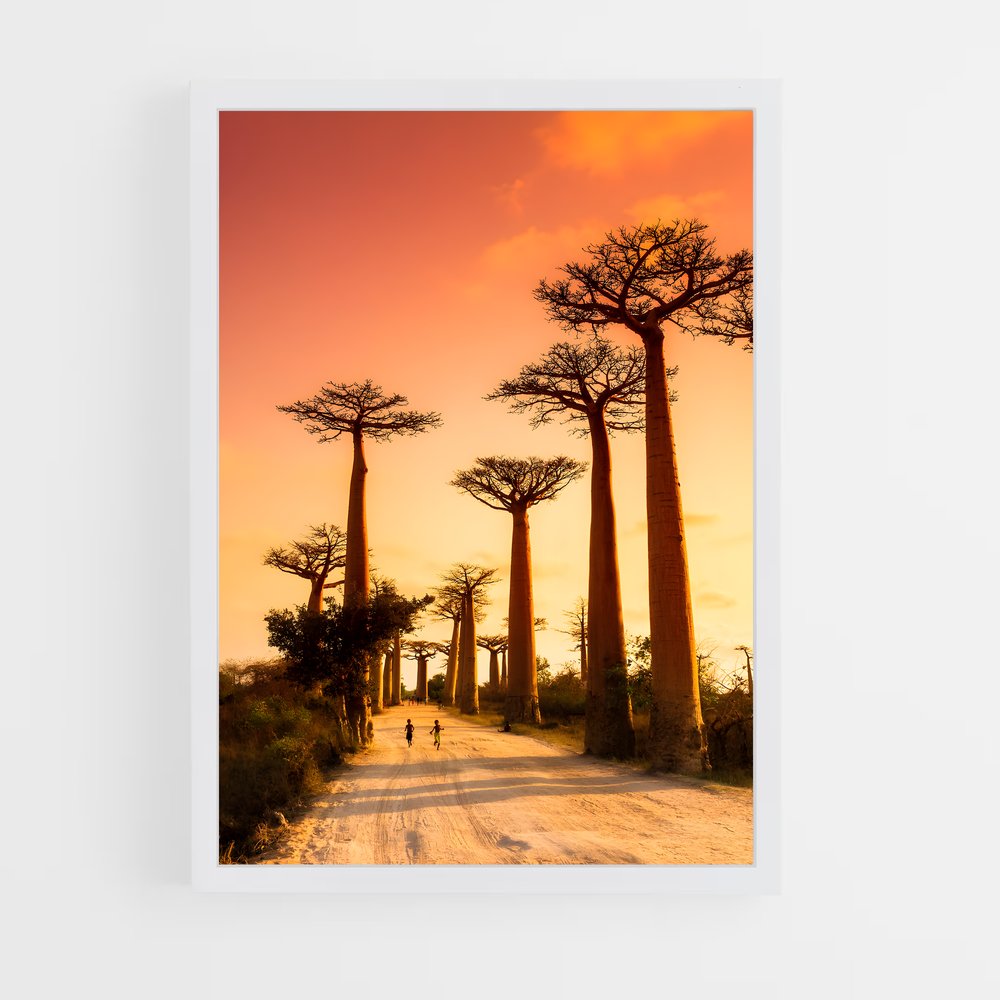 ap-baobab-1 cadre Blanc