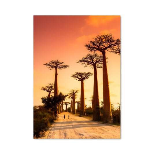 Poster Crépuscule Baobab